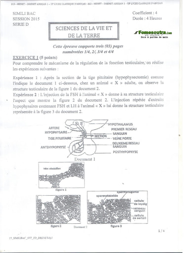 Sujet de SVT BAC blanc 2015 série D Lycée Classique d'Abidjan