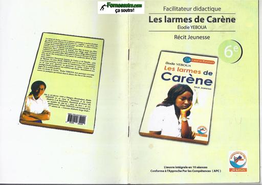 FACILITATEUR LES LARMES DE CARENE CLASSE 6ième BY TEHUA