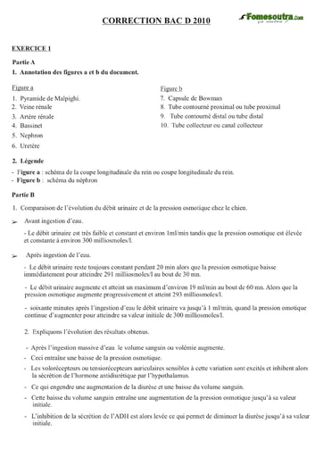 Corrigé de SVT BAC D 2010