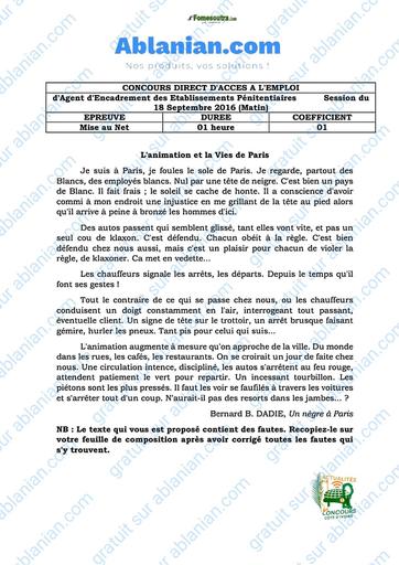 INFJ mise au net INFJ 2016 Agent encadrements des etablissements penitentiaires by TEHUA