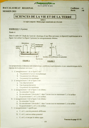 Sujet de SVT Bac blanc série D 2021 - DREN Abidjan 4