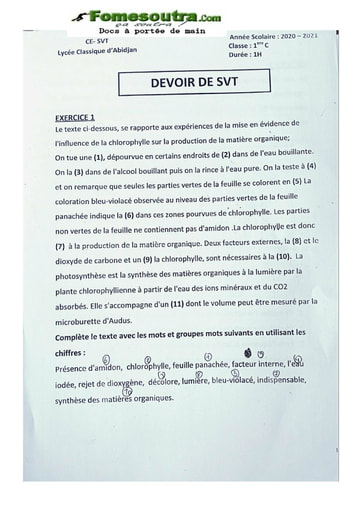 Sujet SVT Première C Lycée Classique