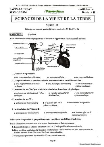Sujet et corrigé Bac 2024 SVT SERIE D BY TEHUA
