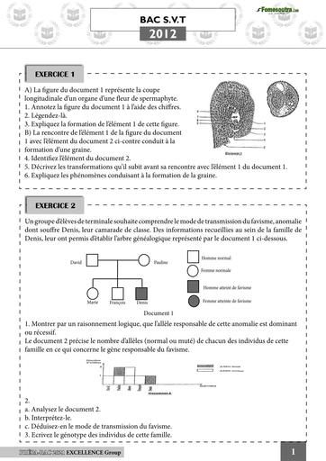 PREPA BAC 2025 Maths PC SVT TleD BY TEHUA