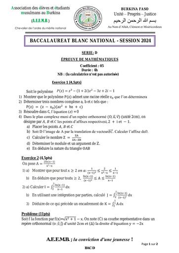 Sujet BAC D blanc MATHS 2024 Burkina AEEMB by Tehua