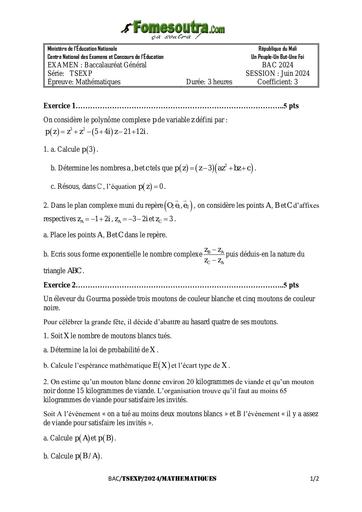Sujet bac 2024 Maths Tle EXP Bac 2024 BY TEHUA