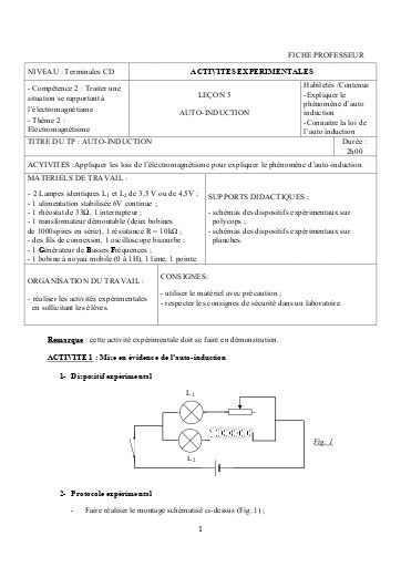 FICHE PROFESSEUR 10   auto induction