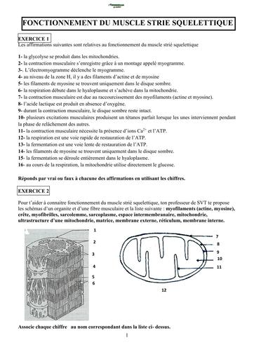 EXERCICES SVT Tle D SUR FONCTIONNEMENT DU MUSCLE STRIE SQUELETTIQUE BY TEHUA
