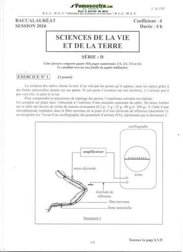 Sujet corrigé et barème de SVT BAC D 2016