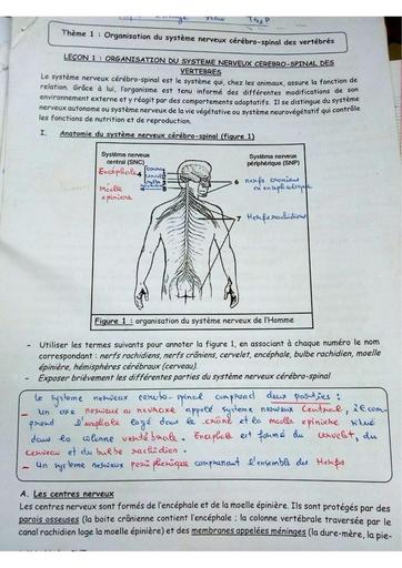 Cours SVT 1ière D by Tehua