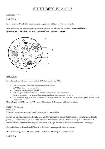 Suejt bepc blanc 2024 SVT by Tehua