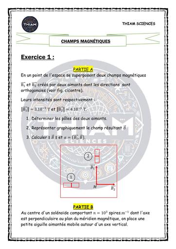 FICHE DE TD Généralités sur les champs magnétiques (THIAM SCIENCES) by TEHUA