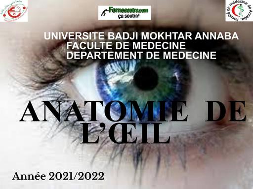 INFAS COURS Anatomie de l'oeil by TEHUA