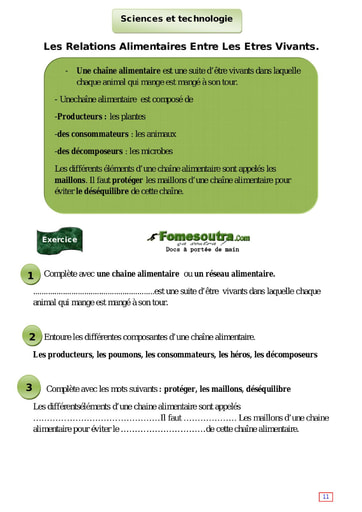 Les Relations Alimentaires Entre Les Etres Vivants - Cours CE1