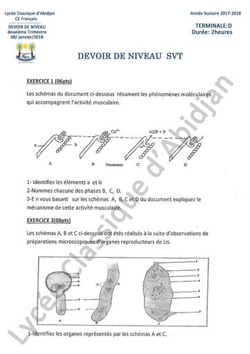 Devoir SVT Tle D LCA by Tehua