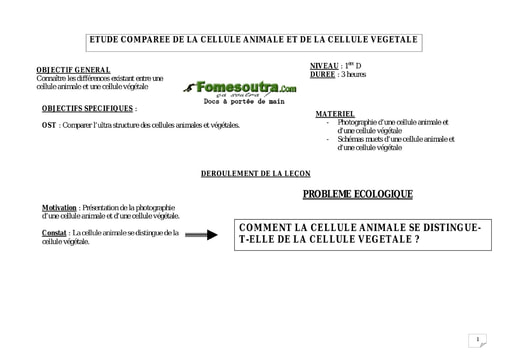 Etude comparée de la cellule animale et de la cellule végétale - SVT 1ère D