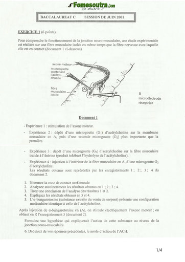 Sujet de SVT BAC C 2001