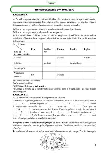 SUJET 3ième Devoir SVT 3ème by TEHUA