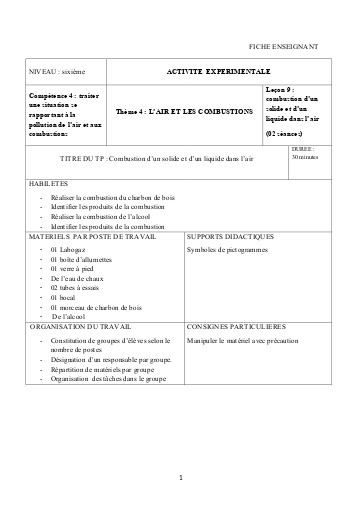 FICHE 9 Combustion d'un solide et d'un liquide dans l'air SPO
