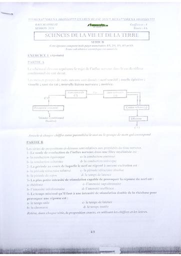 Bac blanc 2024 SVT serie D dren Aboisso by Tehua