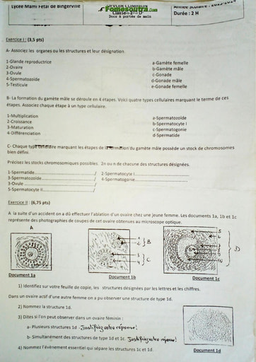 Sujet SVT niveau Première D Lycée Mamie Fetai Bingerville