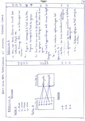 BEPC BLANC 2026 DRENA YAMOUSSOUKRO SUJET PC (BAREME) by TEHUA