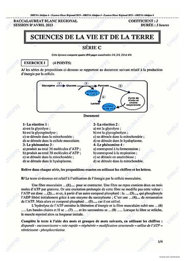 SUJET ET CORRIGE BAC BLANC 2023 SVT SERIE C REGIONAL ABIDJAN 4 COTE D'IVOIRE