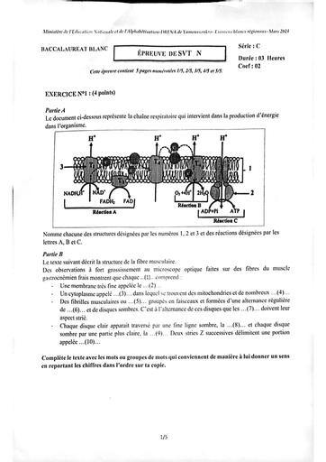 BAC BLANC serie C SVT Yakro 24 by Tehua
