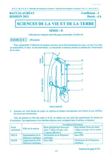 bac-d-svt-2013.pdf