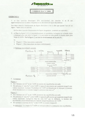 Corrigé de SVT BAC C 2004