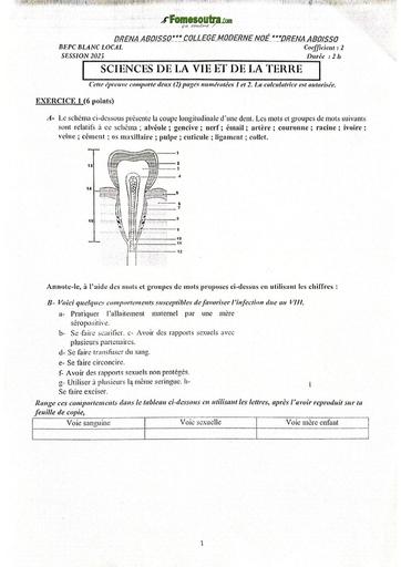 EXAMEN BLANC INTERNE ABOISSO NOE SVT 3ième BY TEHUA