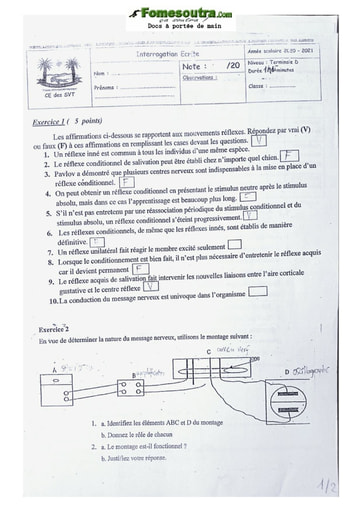 Devoir SVT Terminale D 2020-2021