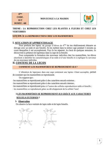 SVT 6ème L3 La reproduction chez les mammifères