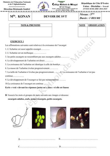 DEVOIR SVT NIVEAU 5ième N°1 COLLEGE KOTHO DE MEAGUI 2025 BY TEHUA