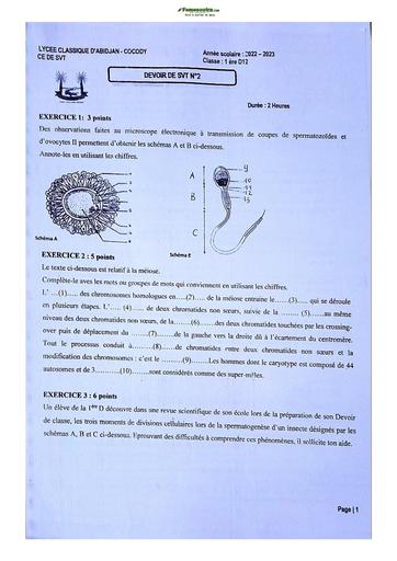 Sujet de SVT niveau Première D Lycée Classique Abidjan  23