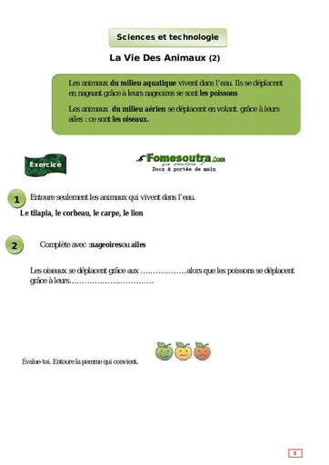 La Vie Des Animaux (2) - Cours CE1