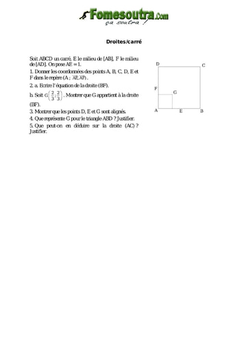 Droites et Carré - Maths niveau 2nd C