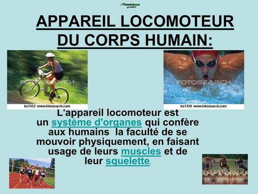 INFAS résumé de cours Appareil Locomoteur Du Corps Humain By TEHUA