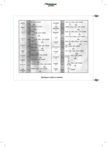 CAHIER CHIMIE Tle CDE P 172 Quelques acides α aminés by TEHUA
