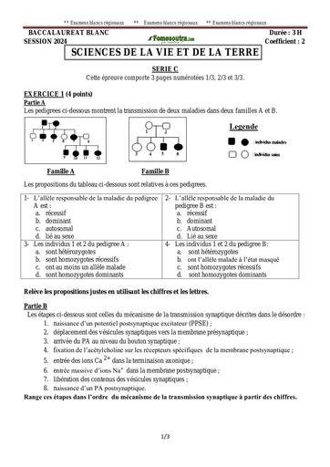 SUJET BAC SÉRIE C 2024 by Tehua