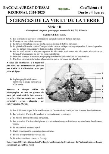 BAC D'ESSAI REGIONAL AVRIL 2025 SVT SERIE D SUJET+BAREME by TEHUA