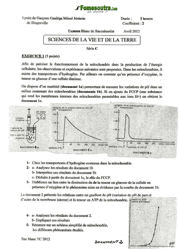 Sujet de SVT BAC blanc 2012 série C Lycée Garçon de Bingerville