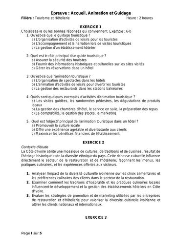 SUJET D'ACCUEIL ANIMATION GUIDAGE 3 - BTS TH By Ludov Ta'n