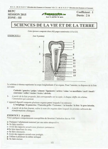 Sujet de SVT BEPC 2015 zone 3