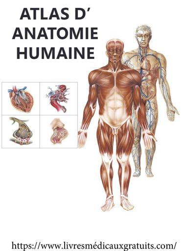 Médecine
