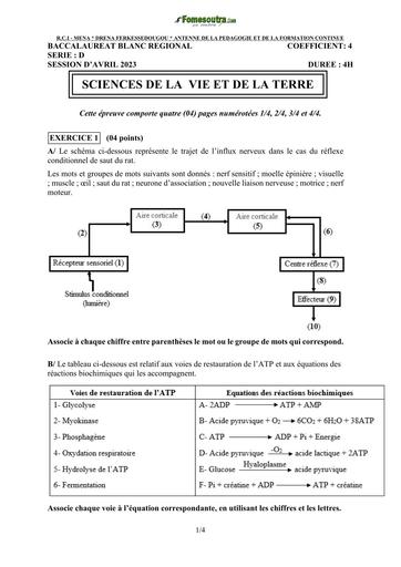 SVT BAC blanc Ferké sujet+barème 2023 by TEHUA