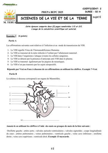 PREPA BEPC 2025 SVT FICHE 6 BY TEHUA