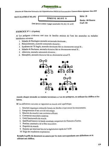 Bac blanc 2024 SVT serie D dren Yamoussoukro sujet+barème by TEHUA