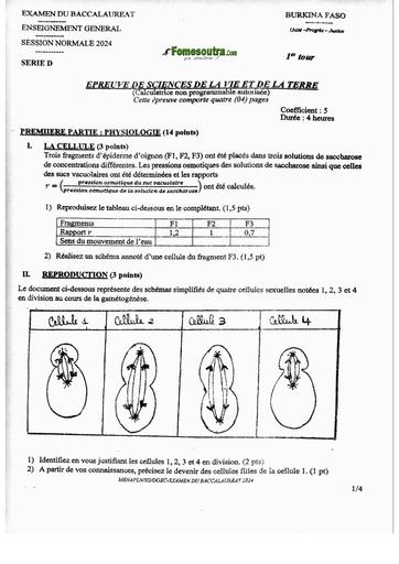 SUJET+BAREME BAC D 2024 BF SVT serie D 1ier tour by TEHUA