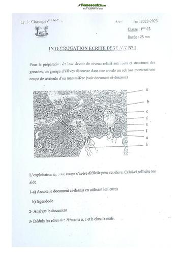 Sujets de SVT Première C Lycée Classique Abidjan  2023